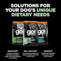 Discover our other solutions for your dog's unique dietary needs