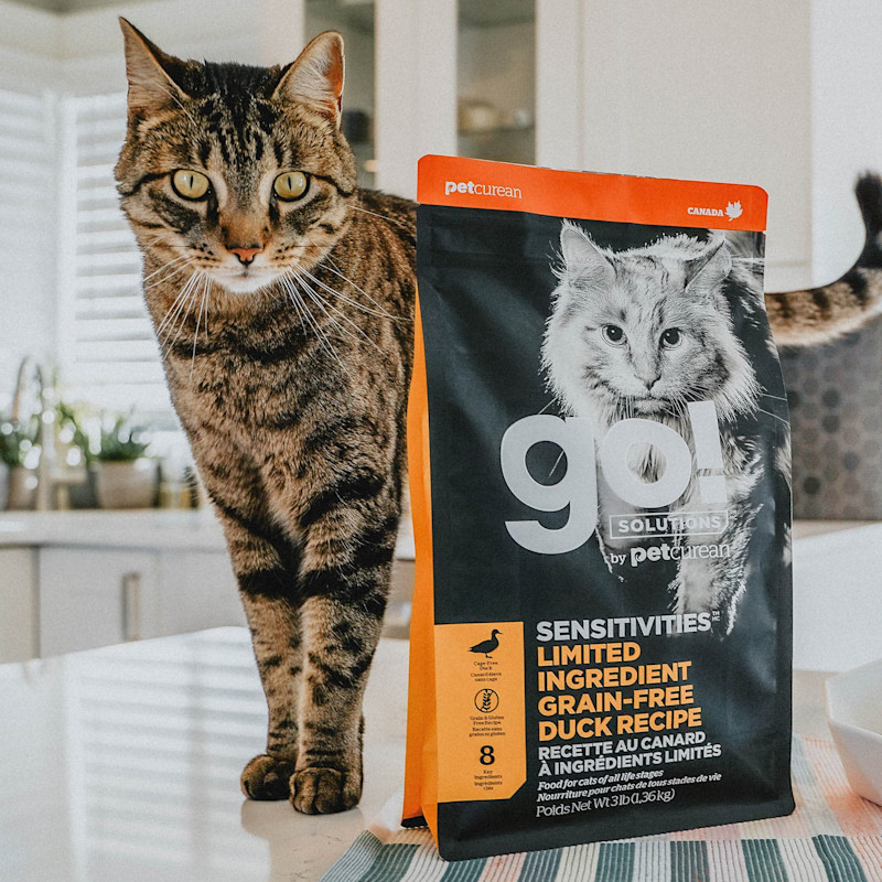 Tabby cat on counter standing behind bag of GO! SOLUTIONS SENSITIVITIES Limited Ingredient Grain-Free Duck Recipe
