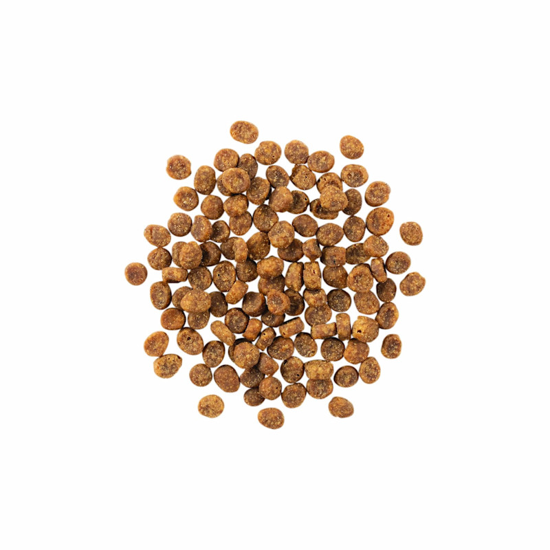 GO! SOLUTIONS SENSITIVITIES Limited Ingredient Grain-Free Duck Recipe for Cats kibble