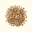 Gather Free Acres Organic Free-Run Chicken Recipe for Adult Cats kibble