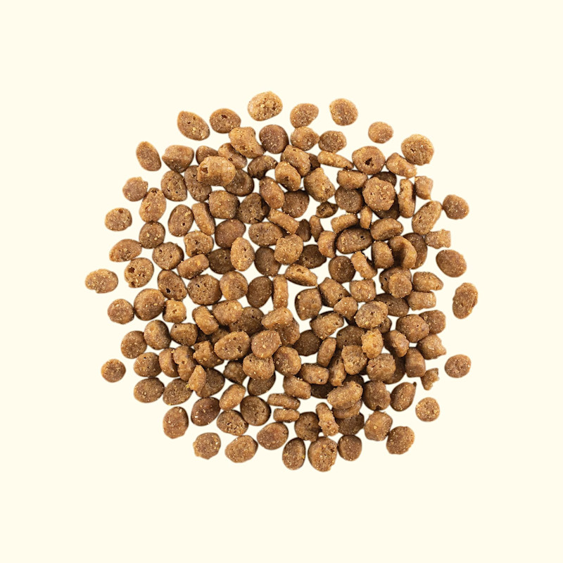 Gather Free Acres Organic Free-Run Chicken Recipe for Adult Cats kibble