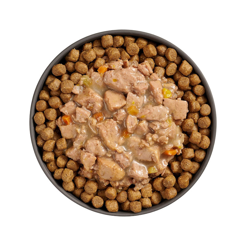 Bowl of kibble topped with Go! Booster Digestive Health Minced Chicken + Duck recipe for cats