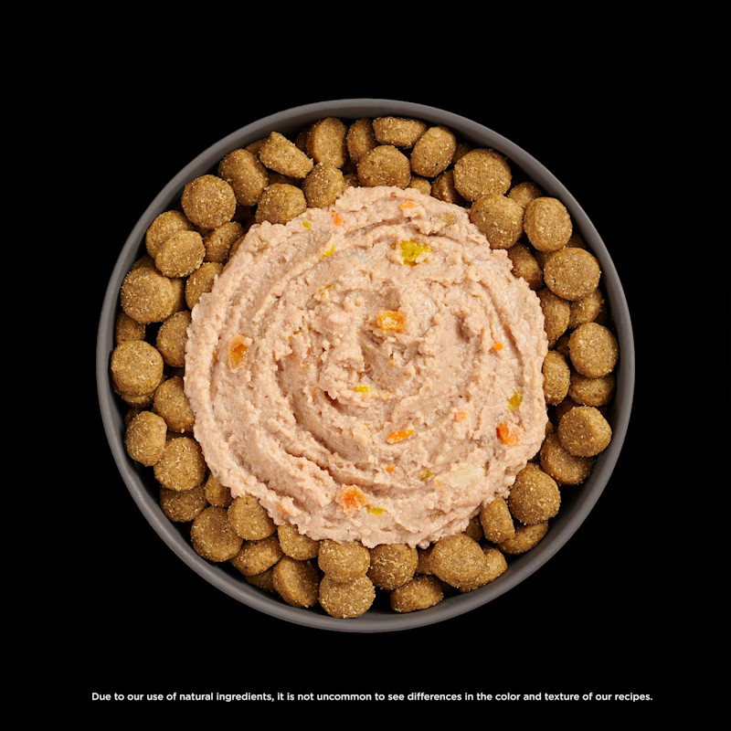 Go! Solutions Booster Digestive Health Chicken + Duck food topper on kibble