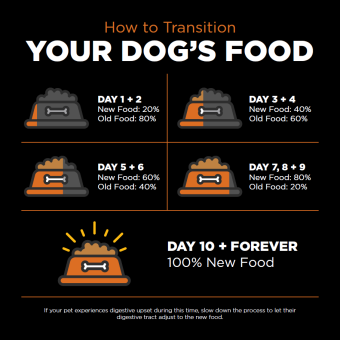 Food transition guide for dogs