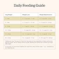 Now Fresh Small Breed Adult Recipe dog food feeding guide