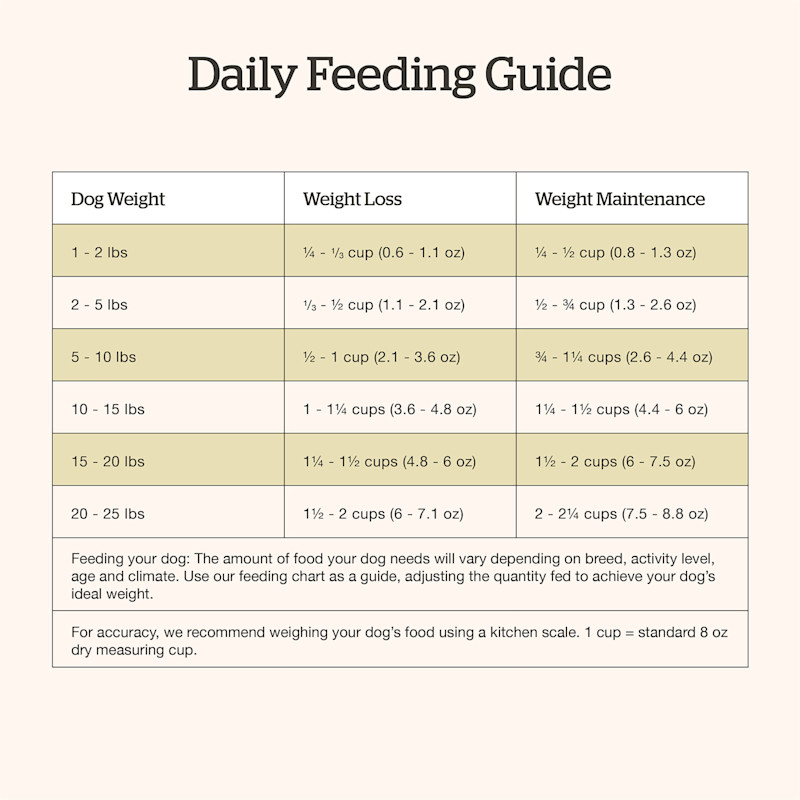 Now Fresh Small Breed Adult Recipe dog food feeding guide