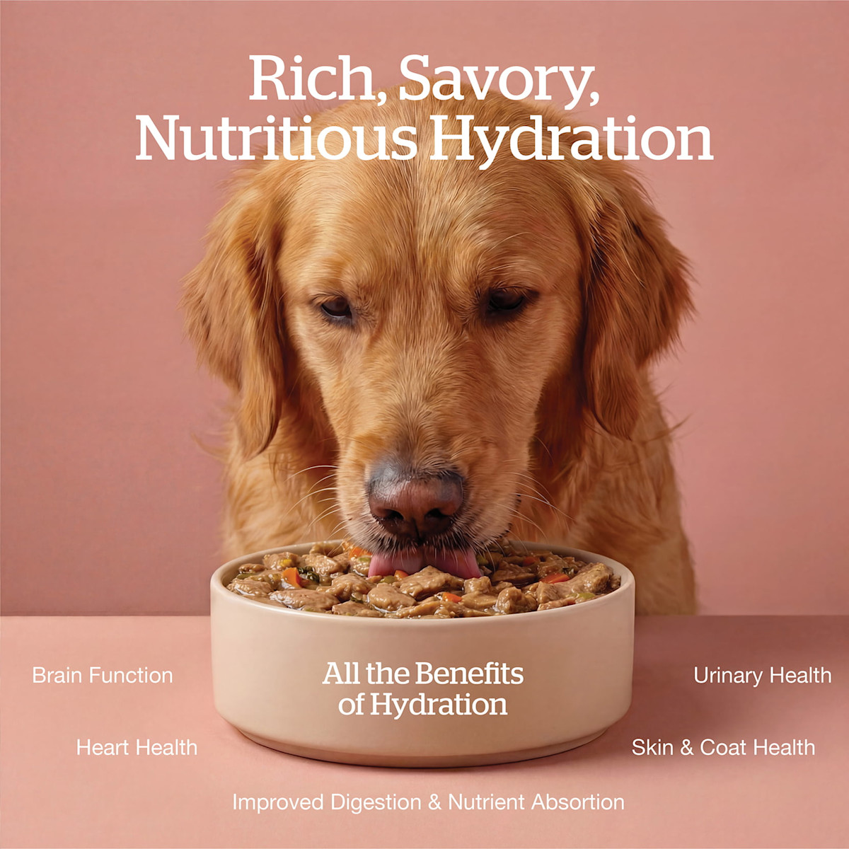 All the benefits of hydration: brain function, heart health, improved digestion and nutrient absorption, skin and coat health, urinary health