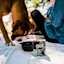 Boxer with owner in the forest with GO! SOLUTIONS SKIN + COAT CARE Turkey + Salmon Pâté with Grains for Dogs wet food