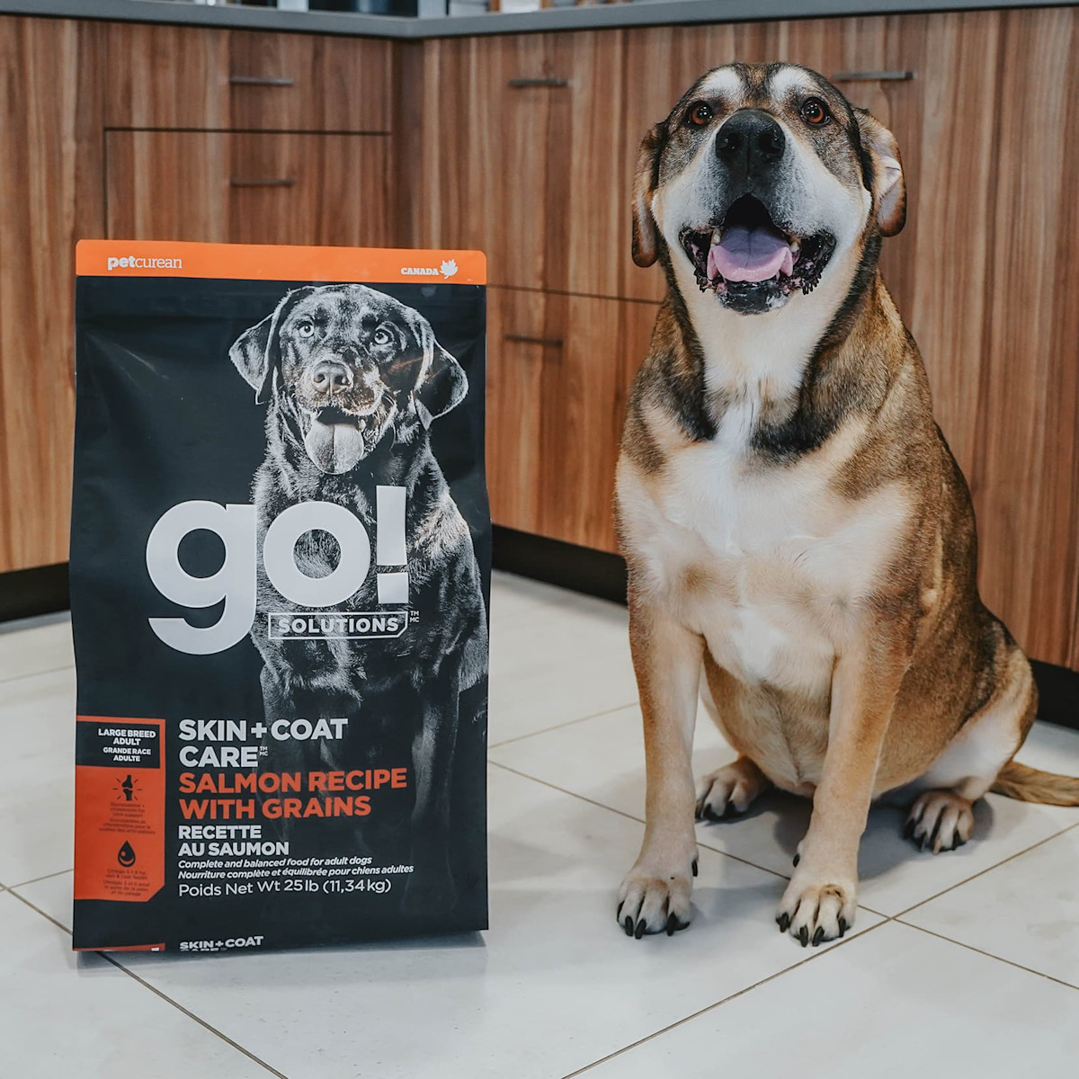Large breed dog sitting next to bag of Go! Large Breed kibble