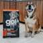 Large breed dog sitting next to bag of Go! Large Breed kibble