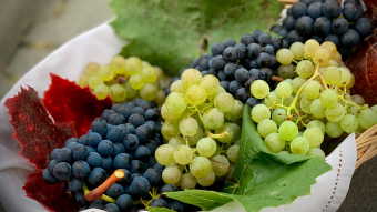 Green and purple grapes