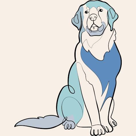Dog illustration