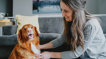 Nova Scotia Duck Tolling Retriever dog smiling in living room beside pet parent