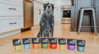 Dog sitting with Go! Solutions Booster pouches