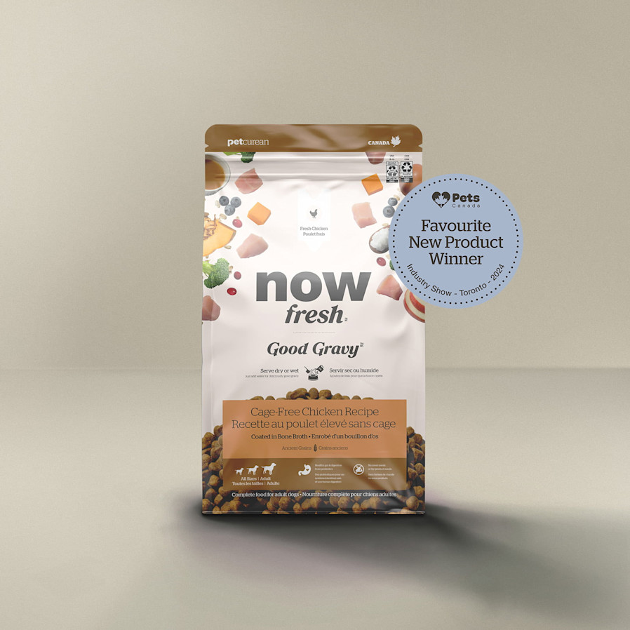 Now Fresh Good Gravy Cage-Free Chicken Recipe for Dogs, Pets Canada Favourite New Product Winner