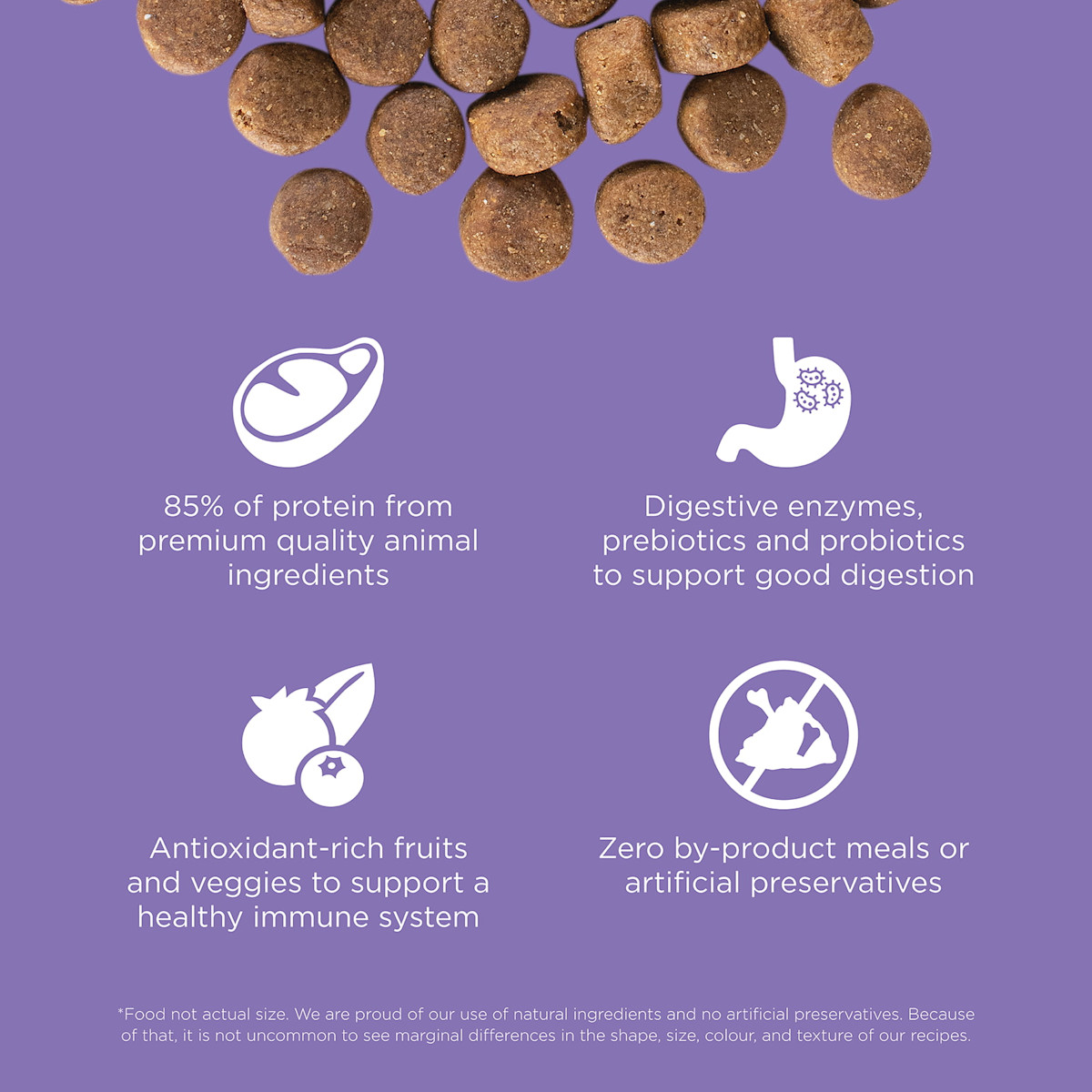 85% of protein from animal sources, digestive enzymes, antioxidant-rich ingredients, and zero by-product meals