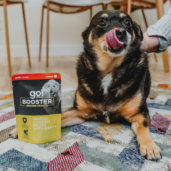 Immune Health Minced Chicken With Gravy Booster Dog Food Topper