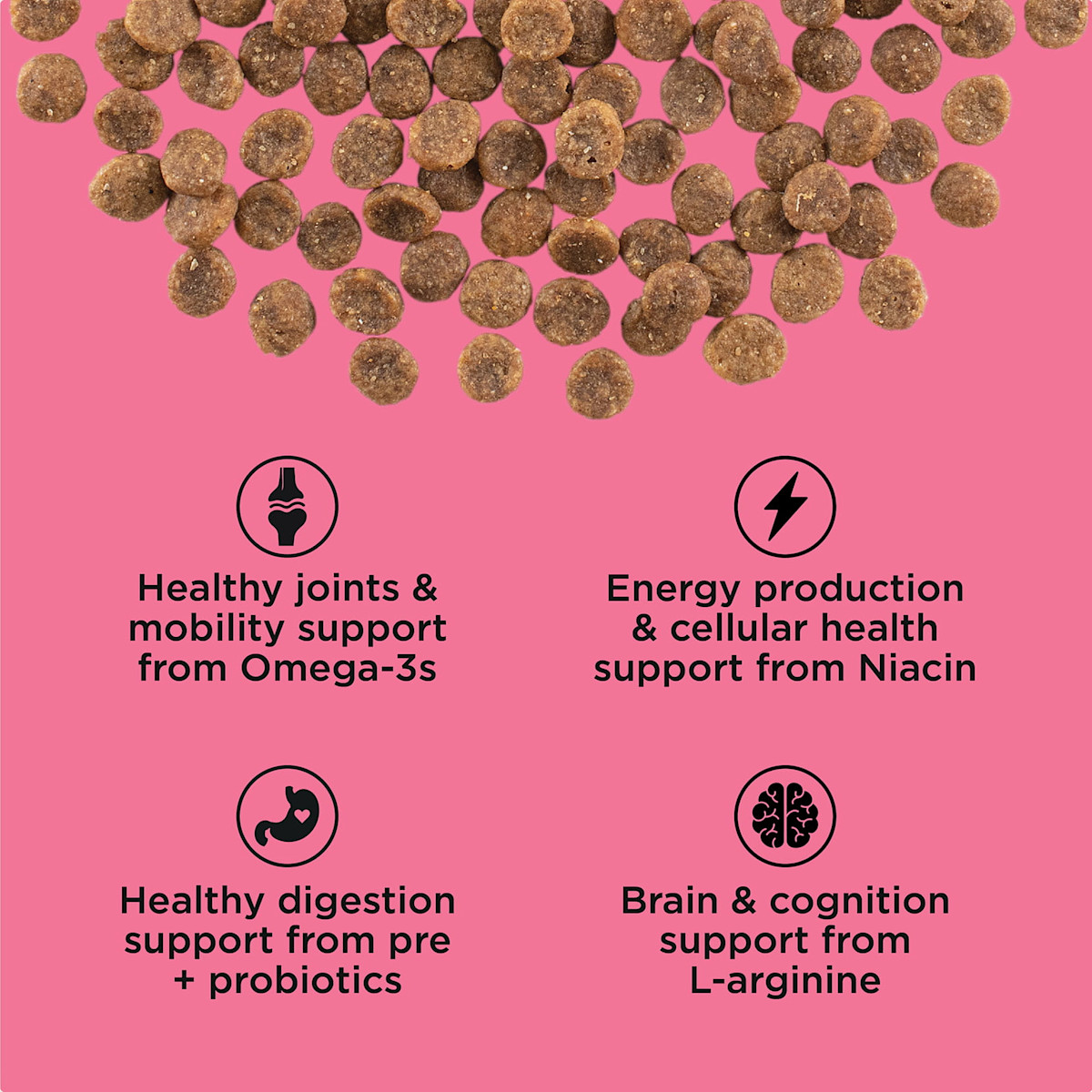 Healthy joints and mobility support from omega-3s, energy production and cellular health support from niacin, healthy digestion support from pre and probiotics, brain and cognition support from l-arginine