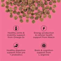 Healthy joints and mobility support from omega-3s, energy production and cellular health support from niacin, healthy digestion support from pre and probiotics, brain and cognition support from l-arginine