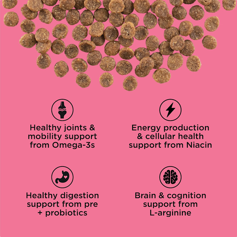 Healthy joints and mobility support from omega-3s, energy production and cellular health support from niacin, healthy digestion support from pre and probiotics, brain and cognition support from l-arginine