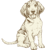 Puppy illustration