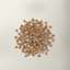 Now Fresh senior cat food kibble