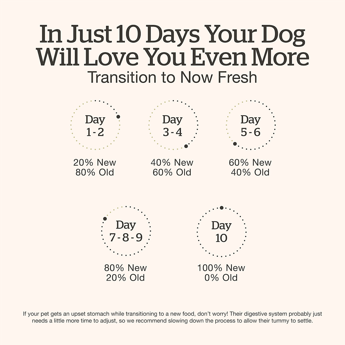 Transition your dog's food gradually over a ten day period