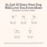 Transition your dog's food gradually over a ten day period
