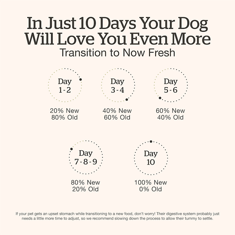 Transition your dog's food gradually over a ten day period