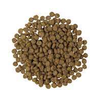 Go! Solutions Weight Management + Joint Care Grain-Free Salmon Recipe for Cats kibble