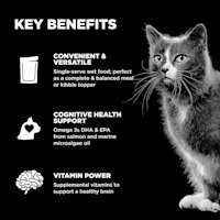 Convenient and versatile to serve, cognitive health support, and supplemental vitamins for a healthy brain