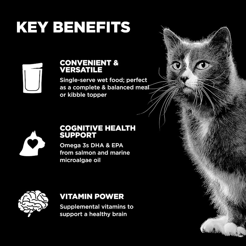 Convenient and versatile to serve, cognitive health support, and supplemental vitamins for a healthy brain