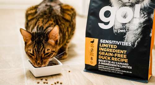 Tabby cat eating GO! SOLUTIONS SENSITIVITIES Limited Ingredient Grain-Free Duck Recipe kibble