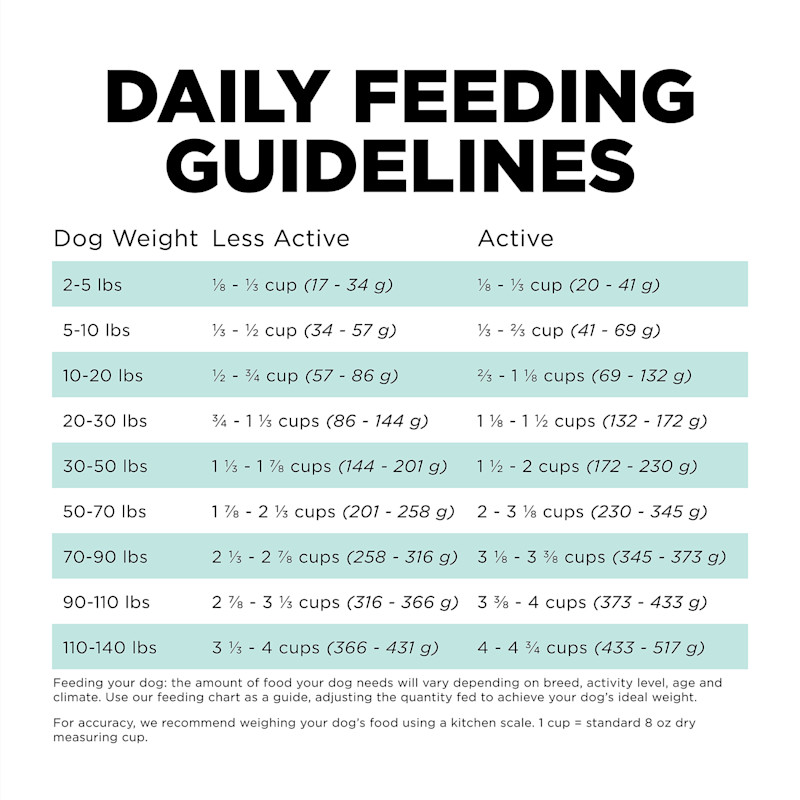 Go! Solutions Carnivore Grain-Free Chicken, Turkey + Duck Adult Recipe dog food feeding guidelines