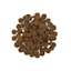 Go! Skin + Coat Care Large Breed kibble