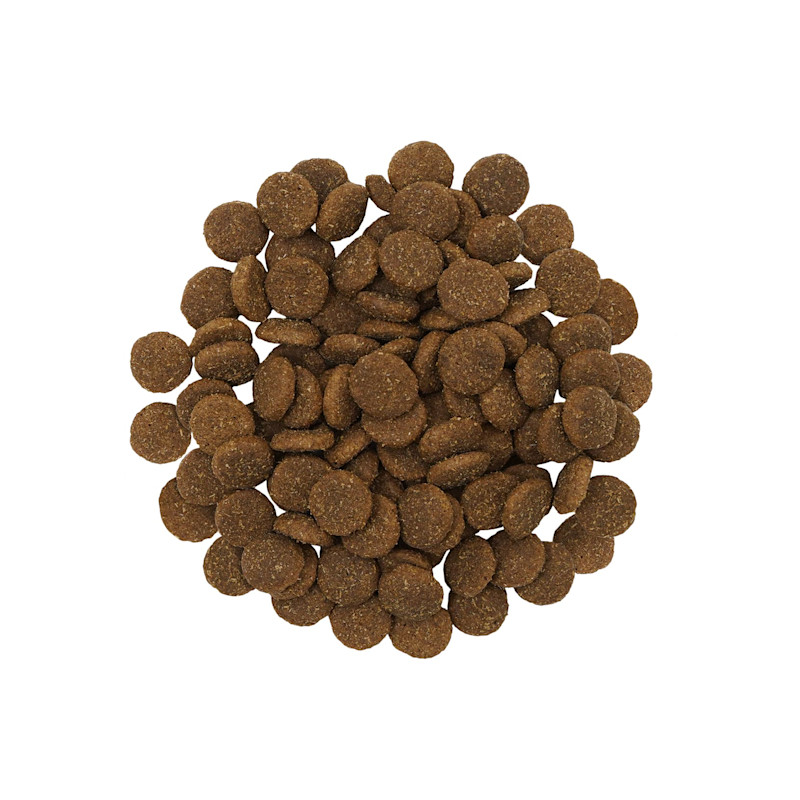 Go! Skin + Coat Care Large Breed kibble