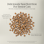 Complete and balanced grain-free kibble tailored for your senior cat