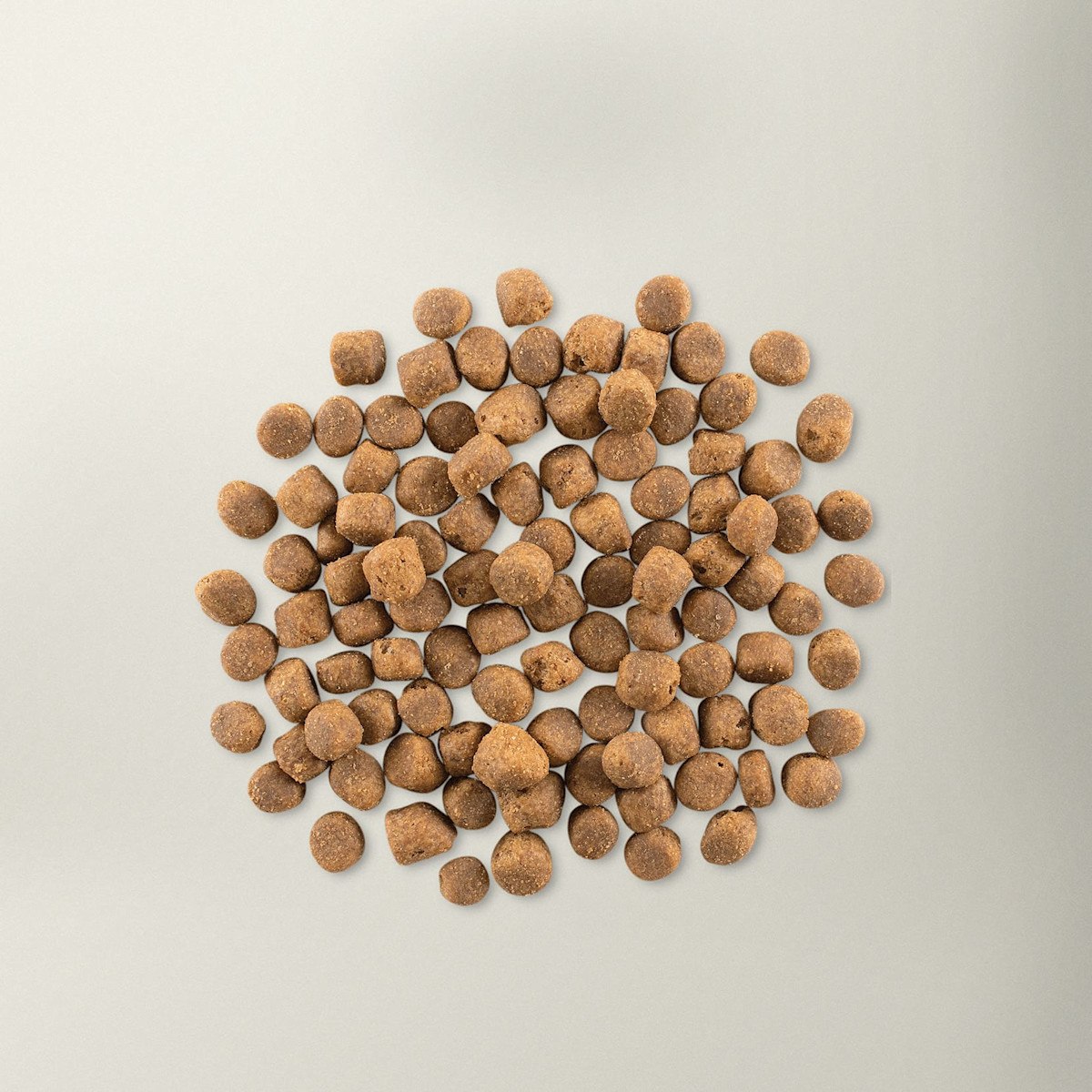 Now Fresh red meat adult dog food kibble