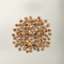 Now Fresh red meat adult dog food kibble