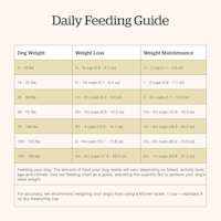 Now Fresh Red Meat Adult Recipe dog food feeding guide