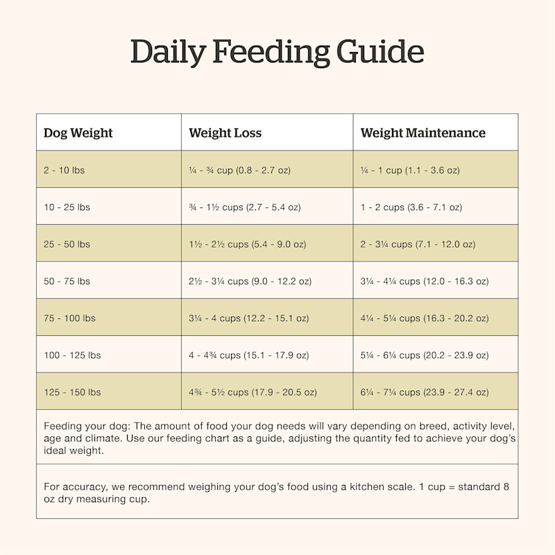 Now Fresh Red Meat Adult Recipe dog food feeding guide