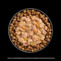 Go! Solutions Booster Chicken + Salmon food topper on bowl of kibble