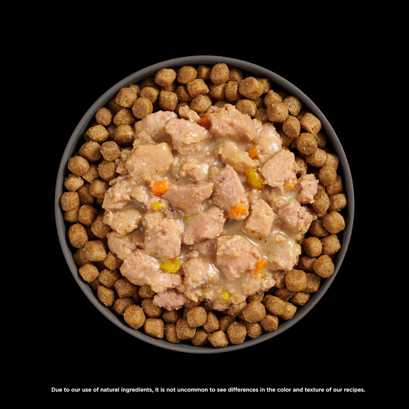 Go! Solutions Booster Chicken + Salmon food topper on bowl of kibble