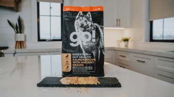 GO! DIGESTION + GUT HEALTH dog food bag on kitchen counter with grains