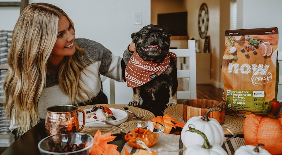 Woman and French Bulldog at table with fall decor, cranberries, pumpkins, and Now Fresh kibble