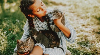 Young girl in field with three kittens