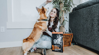 Corgi on hind legs grabbing Go! Solutions kibble from owner