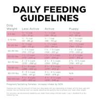 Go! Solutions Skin + Coat Care Lamb Recipe with Grains dog food feeding guidelines