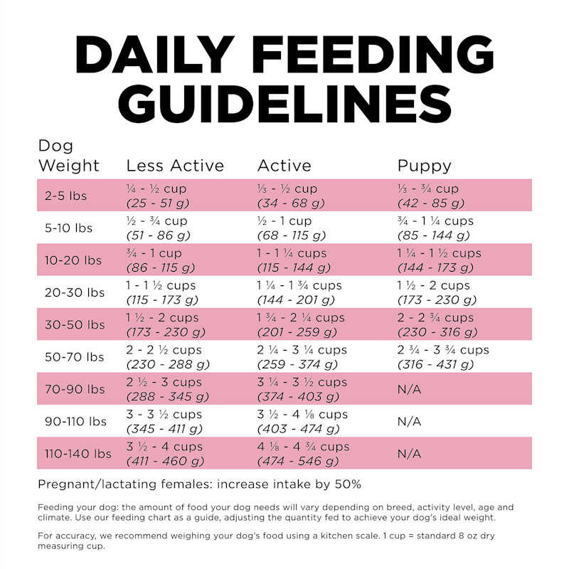 Go! Solutions Skin + Coat Care Lamb Recipe with Grains dog food feeding guidelines