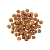 GO! SOLUTIONS SENSITIVITIES Limited Ingredient Grain-Free Turkey Recipe for Dogs kibble